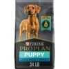 Purina Pro Plan High Protein Chicken & Rice Formula Large Breed Dry Puppy Food 1 Purina Pro Plan High Protein Chicken & Rice Formula Large Breed Dry Puppy Food -Snuggle Paws 67488 MAIN. AC SS1800 V1683569756