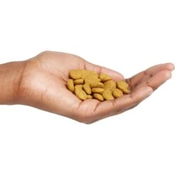 Purina Pro Plan High Protein Chicken & Rice Formula Large Breed Dry Puppy Food 15 Purina Pro Plan High Protein Chicken & Rice Formula Large Breed Dry Puppy Food -Snuggle Paws 67488 PT4. AC SS1800 V1683575898