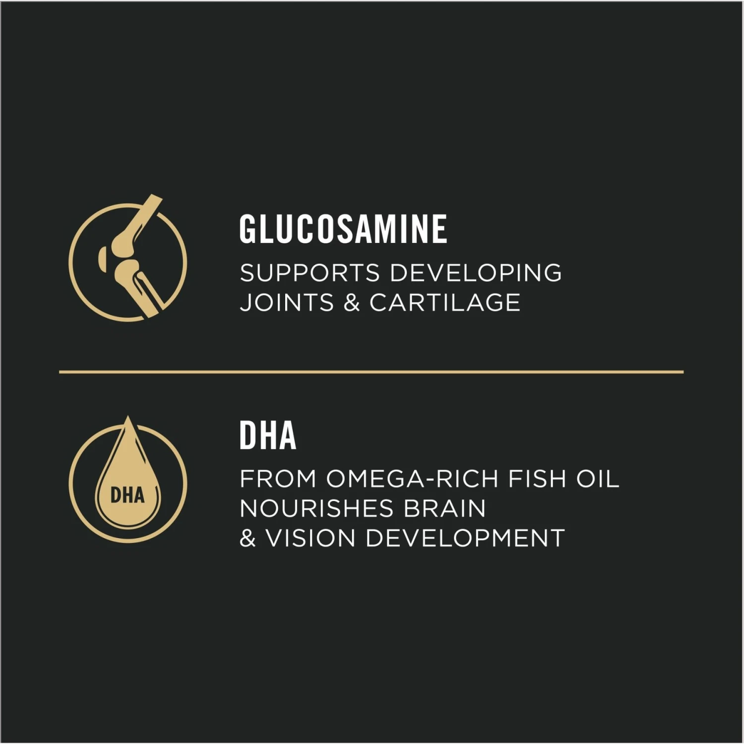 Purina Pro Plan High Protein Chicken & Rice Formula Large Breed Dry Puppy Food 9 Purina Pro Plan High Protein Chicken & Rice Formula Large Breed Dry Puppy Food - Image 7