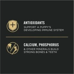 Purina Pro Plan High Protein Chicken & Rice Formula Large Breed Dry Puppy Food 18 Purina Pro Plan High Protein Chicken & Rice Formula Large Breed Dry Puppy Food -Snuggle Paws 67488 PT7. AC SS1800 V1683575011