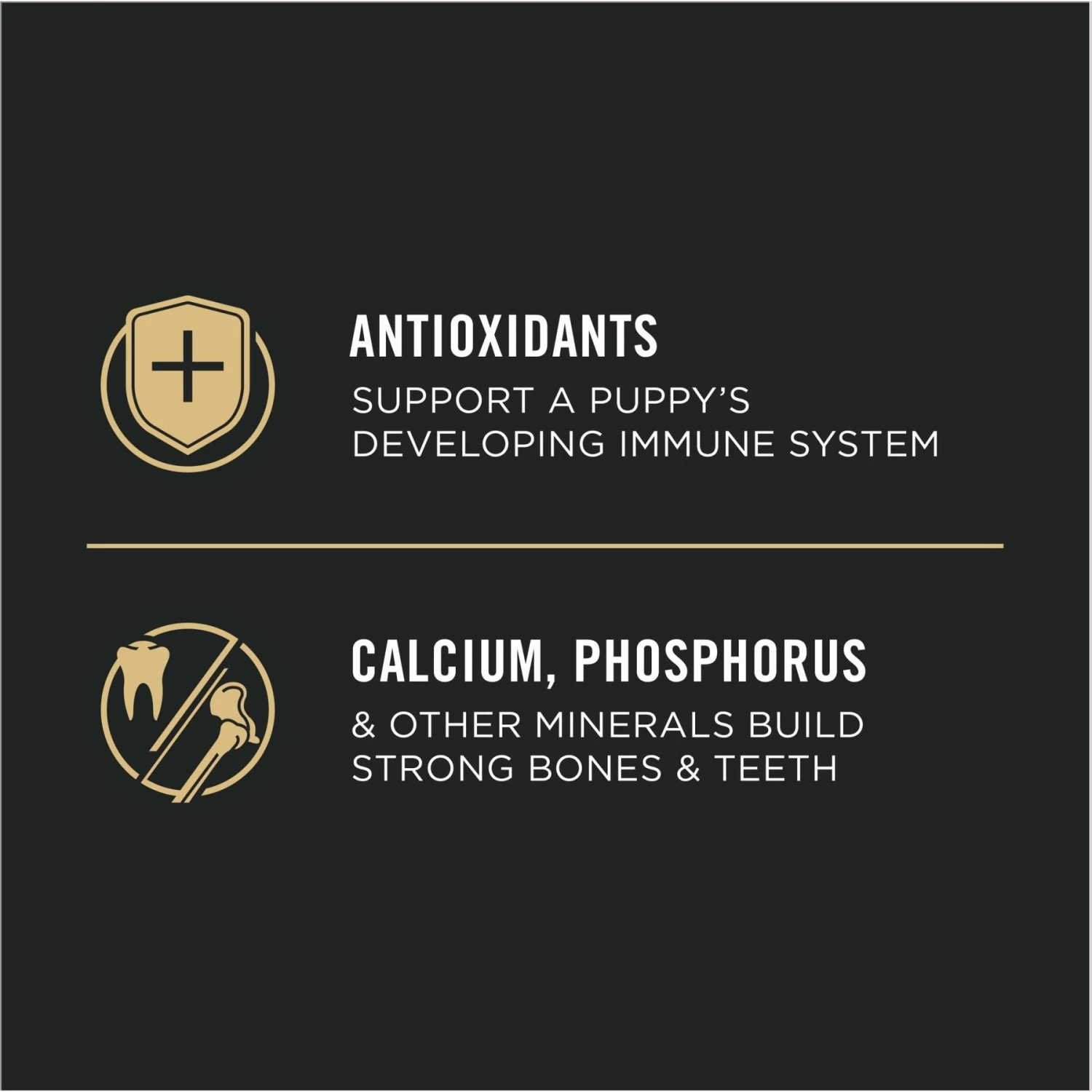 Purina Pro Plan High Protein Chicken & Rice Formula Large Breed Dry Puppy Food 10 Purina Pro Plan High Protein Chicken & Rice Formula Large Breed Dry Puppy Food - Image 8