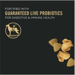 Purina Pro Plan Adult Shredded Blend Beef & Rice Formula Dry Dog Food 13 Purina Pro Plan Adult Shredded Blend Beef & Rice Formula Dry Dog Food -Snuggle Paws 67508 PT2. AC SS1800 V1649197312