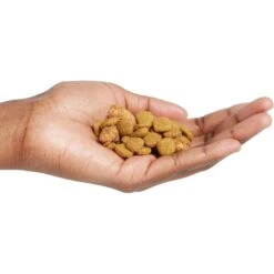 Purina Pro Plan Adult 7+ Shredded Blend Chicken & Rice Formula Dry Dog Food -Snuggle Paws 67527 PT4. AC SS1800 V1649195892