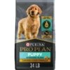 Purina Pro Plan Puppy Shredded Blend Chicken & Rice Formula With Probiotics Dry Dog Food 2 Purina Pro Plan Puppy Shredded Blend Chicken & Rice Formula With Probiotics Dry Dog Food -Snuggle Paws 67531 MAIN. AC SS1800 V1683568817
