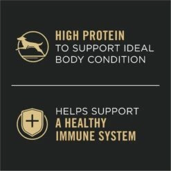 Purina Pro Plan Savor Adult Turkey & Vegetables Entree Slices In Gravy Canned Dog Food -Snuggle Paws 67640 PT3. AC SS1800 V1689792614