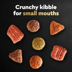 Cesar Simply Crafted Cuisine Complement Soft Wet Adult Dog Food Topper Variety Pack & Cesar Rotisserie Chicken Flavor & Spring Vegetables Garnish Small Breed Dry Dog Food 18 Cesar Simply Crafted Cuisine Complement Soft Wet Adult Dog Food Topper Variety Pack & Cesar Rotisserie Chicken Flavor & Spring Vegetables Garnish Small Breed Dry Dog Food -Snuggle Paws 689054 PT7. AC SS1800 V1668809774