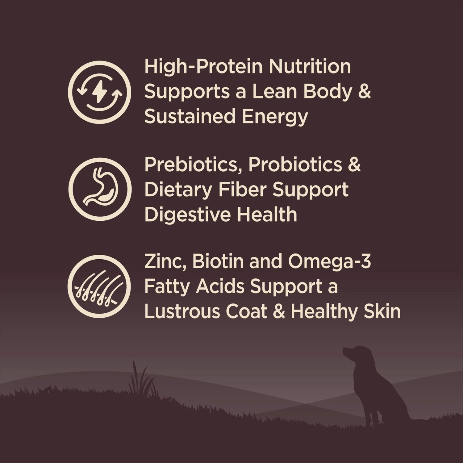 Wellness CORE Grain-Free Wild Game Duck, Lamb Meal, Boar & Rabbit Recipe Natural Dry Dog Food 5 Wellness CORE Grain-Free Wild Game Duck, Lamb Meal, Boar & Rabbit Recipe Natural Dry Dog Food - Image 3