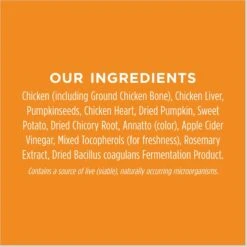 Instinct Freeze-Dried Raw Meals Real Beef Recipe Grain-Free Dog Food & Instinct Freeze-Dried Raw Boost Mixers Grain-Free Gut Health Recipe Dog Food Topper -Snuggle Paws 693526 PT6. AC SS1800 V1669123922