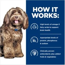 Hill's Prescription Diet B/d Brain Aging Care Chicken Flavor Dry Dog Food 16 Hill's Prescription Diet B/d Brain Aging Care Chicken Flavor Dry Dog Food -Snuggle Paws 69742 PT5. AC SS1800 V1665781351