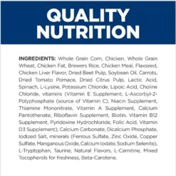 Hill's Prescription Diet B/d Brain Aging Care Chicken Flavor Dry Dog Food 18 Hill's Prescription Diet B/d Brain Aging Care Chicken Flavor Dry Dog Food -Snuggle Paws 69742 PT7. AC SS1800 V1665781423