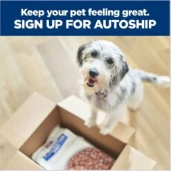 Hill's Prescription Diet D/d Skin/Food Sensitivities Salmon Formula Canned Dog Food -Snuggle Paws 69748 PT8. AC SS1800 V1672948210