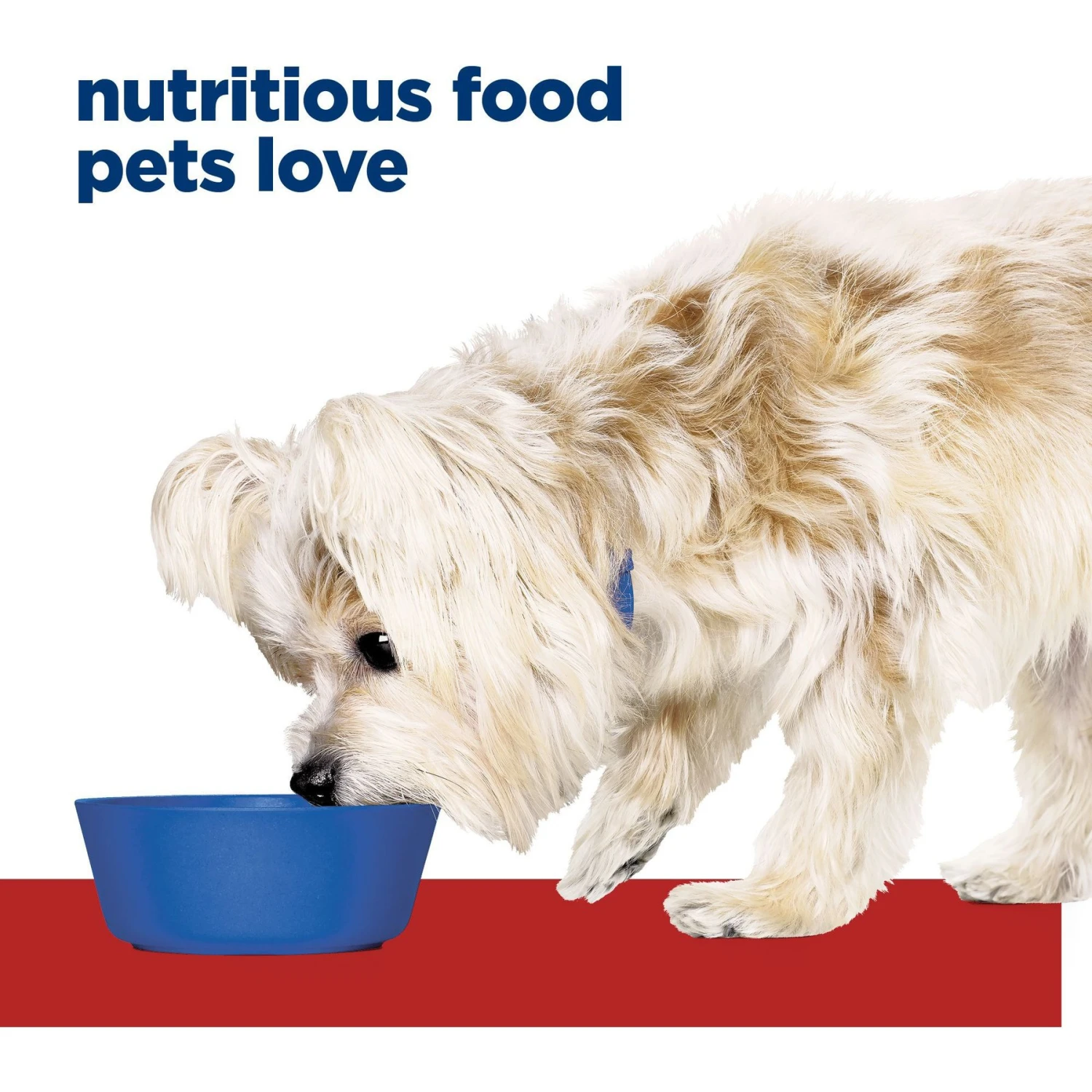 Hill's Prescription Diet G/d Aging Care Turkey Flavor Wet Senior Dog Food 5 Hill's Prescription Diet G/d Aging Care Turkey Flavor Wet Senior Dog Food - Image 3