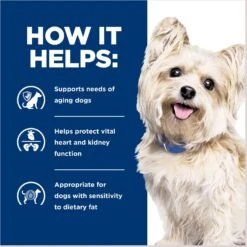 Hill's Prescription Diet G/d Aging Care Turkey Flavor Wet Senior Dog Food 15 Hill's Prescription Diet G/d Aging Care Turkey Flavor Wet Senior Dog Food -Snuggle Paws 69757 PT4. AC SS1800 V1687984736