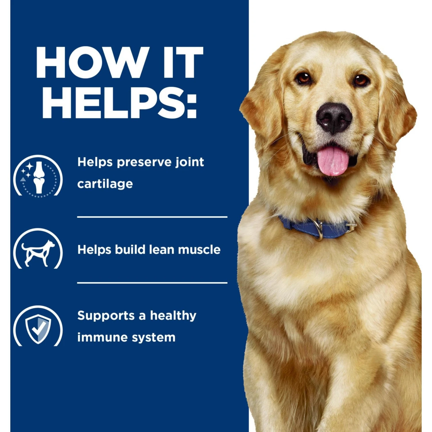 Hill's Prescription Diet J/d Joint Care Chicken Flavor Dry Dog Food 6 Hill's Prescription Diet J/d Joint Care Chicken Flavor Dry Dog Food - Image 4