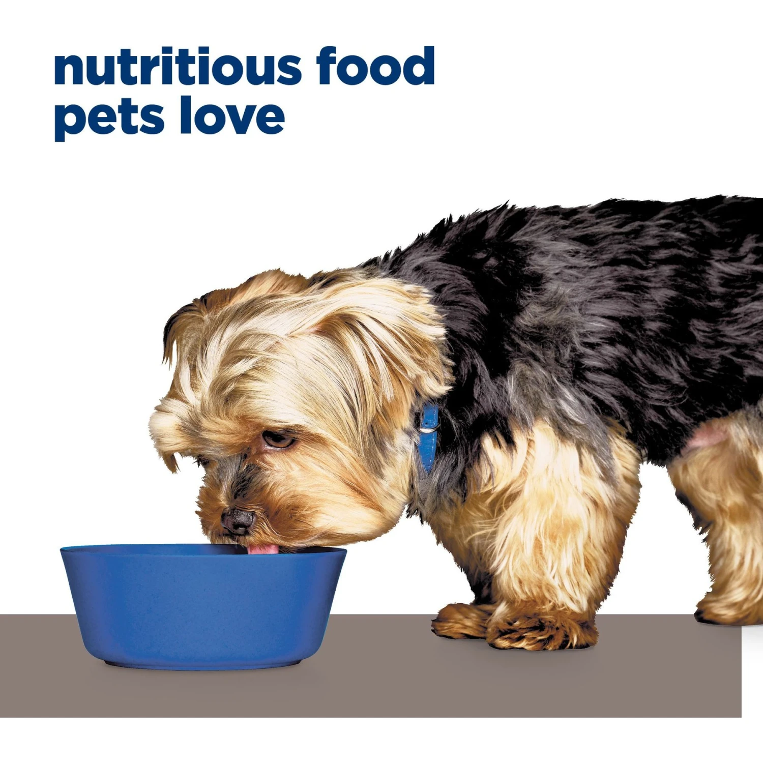 Hill's Prescription Diet L/d Liver Care Chicken Flavor Dry Dog Food 10 Hill's Prescription Diet L/d Liver Care Chicken Flavor Dry Dog Food - Image 8