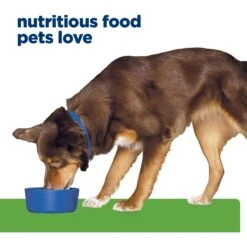 Hill's Prescription Diet Metabolic Chicken Flavor Dry Dog Food -Snuggle Paws 69782 PT6. AC SS1800 V1668551058