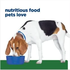 Hill's Prescription Diet R/d Weight Reduction Original Canned Dog Food -Snuggle Paws 69783 PT6. AC SS1800 V1672947980