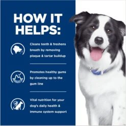Hill's Prescription Diet T/d Dental Care Chicken Flavor Dry Dog Food 14 Hill's Prescription Diet T/d Dental Care Chicken Flavor Dry Dog Food -Snuggle Paws 69790 PT3. AC SS1800 V1668653682