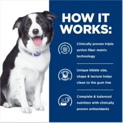 Hill's Prescription Diet T/d Dental Care Chicken Flavor Dry Dog Food 15 Hill's Prescription Diet T/d Dental Care Chicken Flavor Dry Dog Food -Snuggle Paws 69790 PT4. AC SS1800 V1668550939