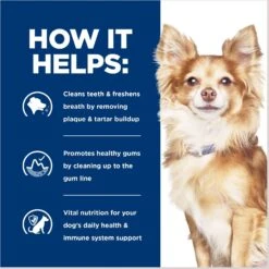 Hill's Prescription Diet T/d Dental Care Small Bites Chicken Flavor Dry Dog Food -Snuggle Paws 69792 PT4. AC SS1800 V1687986583