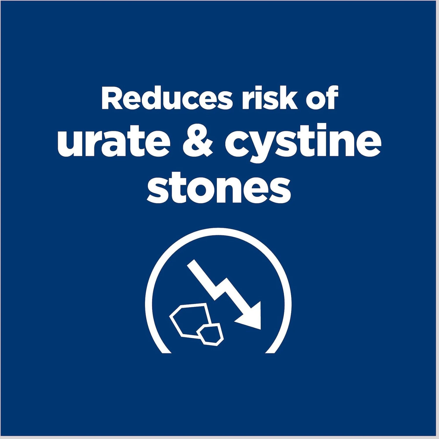 Hill's Prescription Diet U/d Urinary Care Original Flavor Dry Dog Food 6 Hill's Prescription Diet U/d Urinary Care Original Flavor Dry Dog Food - Image 4