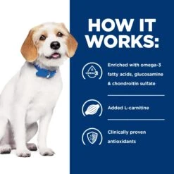 Hill's Prescription Diet J/d Joint Care Small Bites Chicken Flavor Dry Dog Food -Snuggle Paws 69859 PT4. AC SS1800 V1687983006
