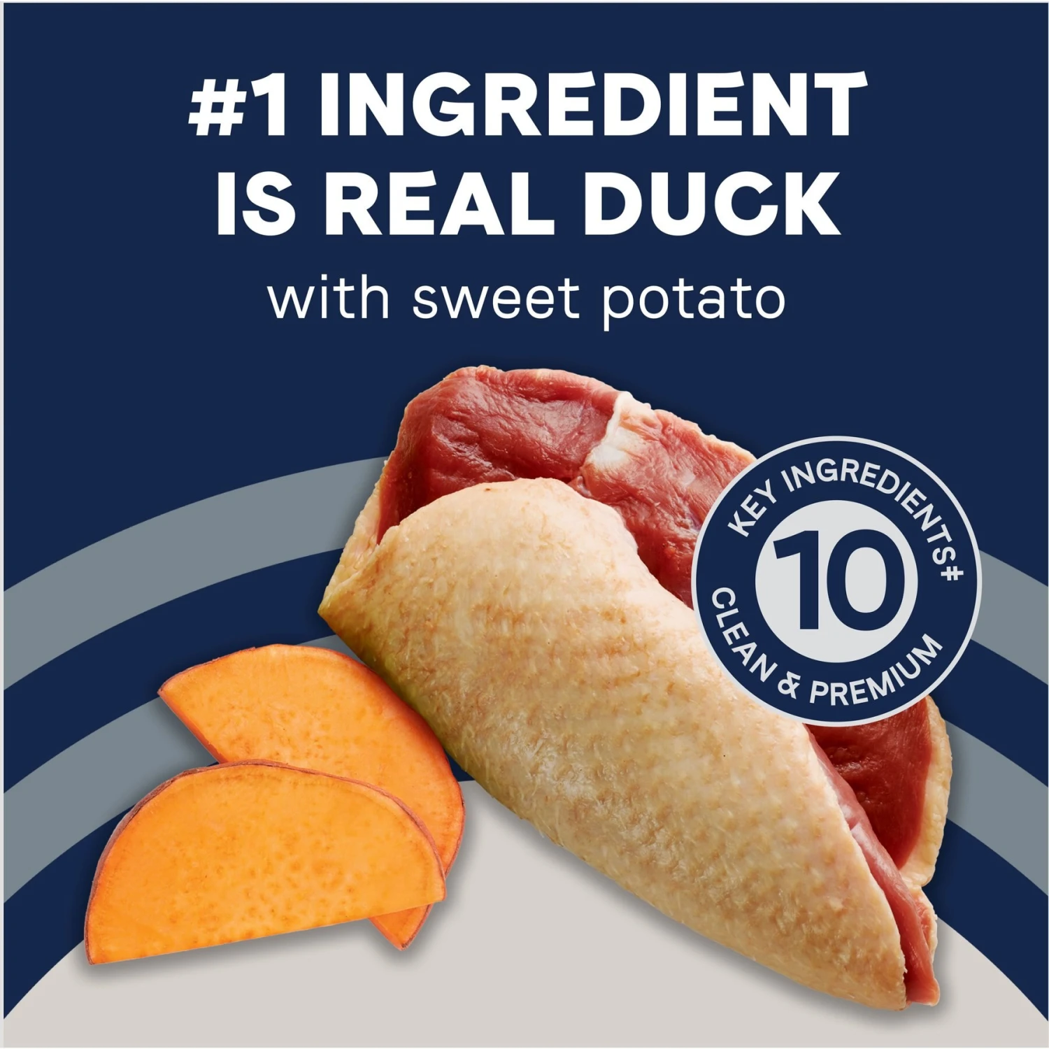 CANIDAE Pure Goodness Real Duck & Sweet Potato Recipe Dry Dog Food 7 CANIDAE Pure Goodness Real Duck & Sweet Potato Recipe Dry Dog Food - Image 5