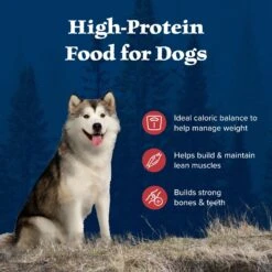 Blue Buffalo Wilderness Rocky Mountain Recipe Healthy Weight Adult High Protein Natural Red Meat & Grain Dry Dog Food, 28-lb Bag -Snuggle Paws 711262 PT3. AC SS1800 V1694547774