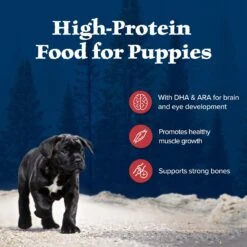 Blue Buffalo Wilderness Rocky Mountain Recipe Puppy High Protein Natural Red Meat & Grain Dry Dog Food -Snuggle Paws 711310 PT2. AC SS1800 V1694547716