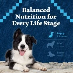Blue Buffalo Wilderness Rocky Mountain Recipe Puppy High Protein Natural Red Meat & Grain Dry Dog Food -Snuggle Paws 711310 PT6. AC SS1800 V1694549407