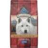 Blue Buffalo Wilderness Rocky Mountain Recipe Senior High Protein Natural Red Meat & Grain Dry Dog Food, 28-lb Bag -Snuggle Paws 711326 MAIN. AC SS1800 V1694547153