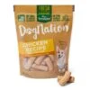 Freshpet Dognation Chicken Recipe Fresh Dog Treats -Snuggle Paws 713950 MAIN. AC SS1800 V1668762140