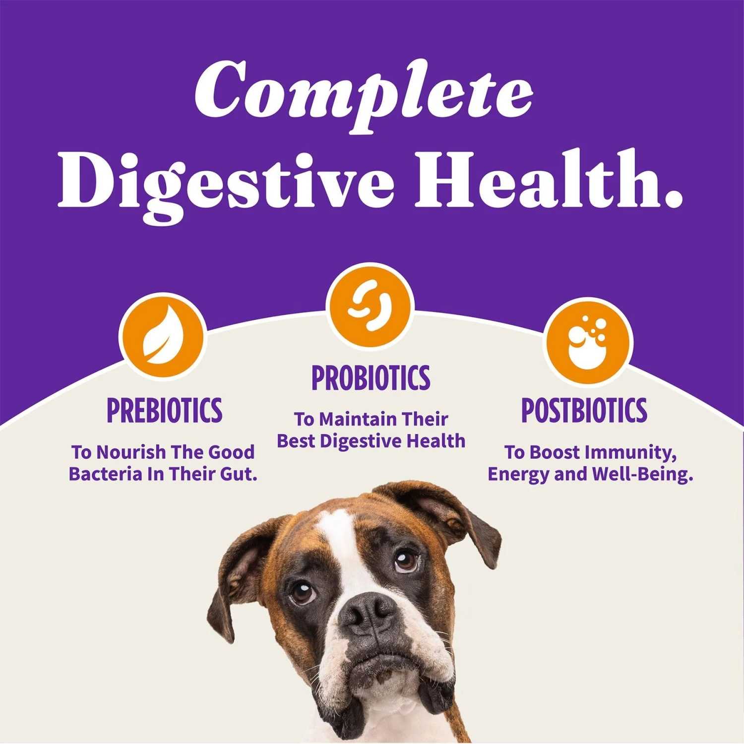 Halo Holistic Complete Digestive Health Grain-Free Chicken & Sweet Potato Dog Food Recipe Adult Dry Dog Food 7 Halo Holistic Complete Digestive Health Grain-Free Chicken & Sweet Potato Dog Food Recipe Adult Dry Dog Food - Image 5