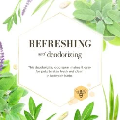Burt's Bees Sage & Lemongrass Scented Dog Deodorizing Spray, 8-oz Bottle 9 Burt's Bees Sage & Lemongrass Scented Dog Deodorizing Spray, 8-oz Bottle -Snuggle Paws 730039 PT2. AC SS1800 V1676751521