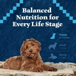 Blue Buffalo Wilderness Puppy High Protein Natural Chicken & Wholesome Grains Dry Dog Food -Snuggle Paws 733510 PT7. AC SS1800 V1694550813