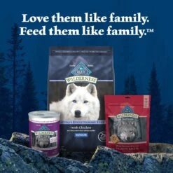 Blue Buffalo Wilderness Senior High Protein Natural Chicken & Wholesome Grains Dry Dog Food -Snuggle Paws 735454 PT8. AC SS1800 V1694538072