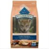 Blue Buffalo Wilderness Large Breed Puppy High Protein Natural Chicken & Wholesome Grains Dry Dog Food, 28-lb Bag -Snuggle Paws 735534 MAIN. AC SS1800 V1694547150