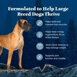 Blue Buffalo Wilderness Large Breed Healthy Weight Adult High Protein Natural Chicken & Wholesome Grains Dry Dog Food, 28-lb Bag -Snuggle Paws 735550 PT3. AC SS1800 V1694548943