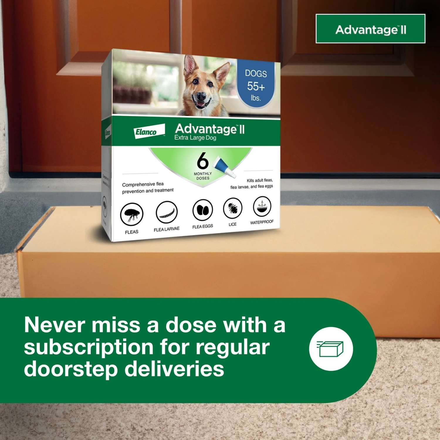 Advantage II Flea Spot Treatment For Dogs, Over 55 Lbs 11 Advantage II Flea Spot Treatment For Dogs, Over 55 Lbs - Image 9