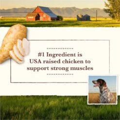 Whole Earth Farms Grain-Free Chicken & Turkey Recipe Canned Dog Food 14 Whole Earth Farms Grain-Free Chicken & Turkey Recipe Canned Dog Food -Snuggle Paws 73951 PT3. AC SS1800 V1631622713