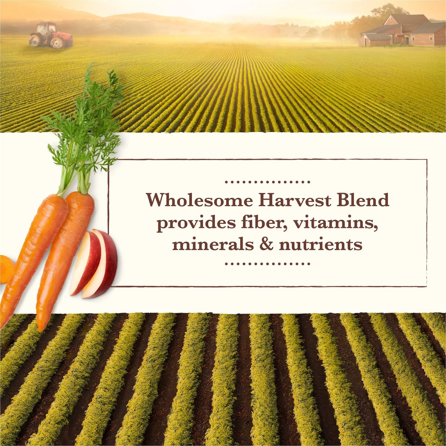 Whole Earth Farms Grain-Free Chicken & Turkey Recipe Canned Dog Food 9 Whole Earth Farms Grain-Free Chicken & Turkey Recipe Canned Dog Food - Image 7