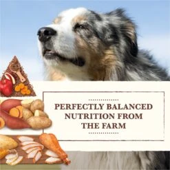 Whole Earth Farms Grain-Free Chicken & Turkey Recipe Dry Dog Food 13 Whole Earth Farms Grain-Free Chicken & Turkey Recipe Dry Dog Food -Snuggle Paws 73970 PT2. AC SS1800 V1647898289