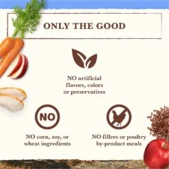 Whole Earth Farms Grain-Free Chicken & Turkey Recipe Dry Dog Food 18 Whole Earth Farms Grain-Free Chicken & Turkey Recipe Dry Dog Food -Snuggle Paws 73970 PT7. AC SS1800 V1647918083