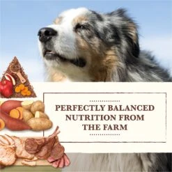 Whole Earth Farms Grain-Free Pork, Beef & Lamb Recipe Dry Dog Food 13 Whole Earth Farms Grain-Free Pork, Beef & Lamb Recipe Dry Dog Food -Snuggle Paws 73974 PT2. AC SS1800 V1647905492
