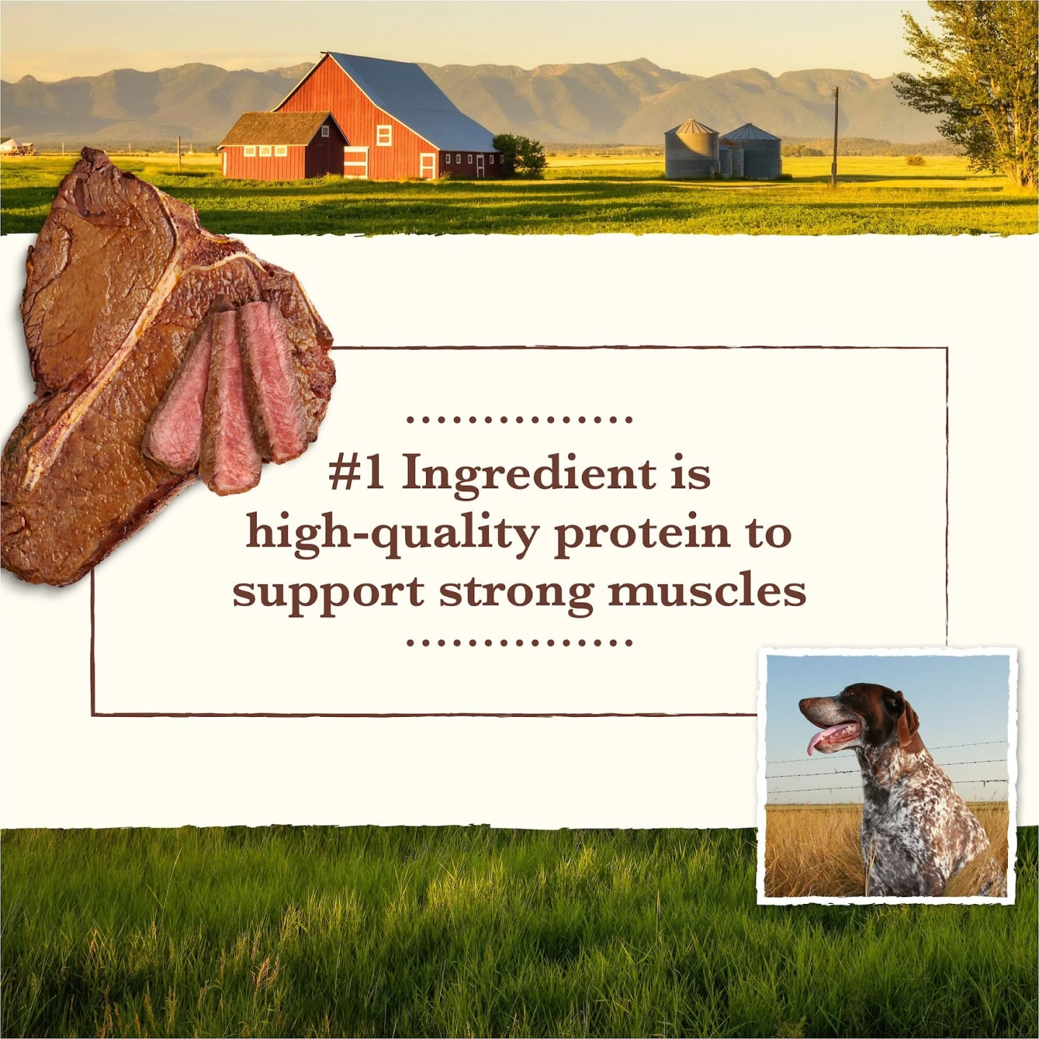 Whole Earth Farms Grain-Free Pork, Beef & Lamb Recipe Dry Dog Food 6 Whole Earth Farms Grain-Free Pork, Beef & Lamb Recipe Dry Dog Food - Image 4