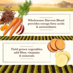 Whole Earth Farms Grain-Free Pork, Beef & Lamb Recipe Dry Dog Food 17 Whole Earth Farms Grain-Free Pork, Beef & Lamb Recipe Dry Dog Food -Snuggle Paws 73974 PT6. AC SS1800 V1647902789