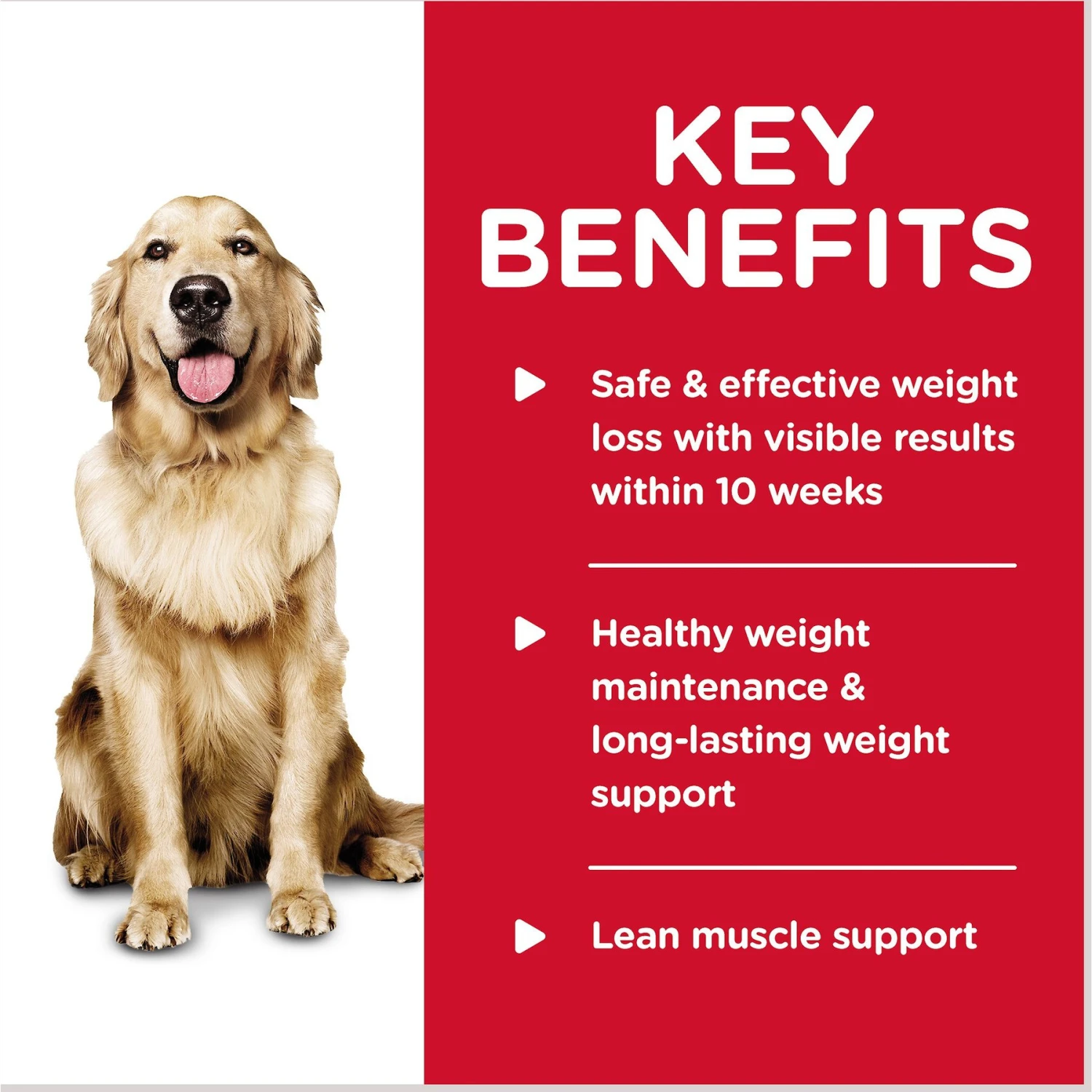 Hill's Science Diet Adult Perfect Weight Chicken & Vegetables Entree Canned Dog Food 7 Hill's Science Diet Adult Perfect Weight Chicken & Vegetables Entree Canned Dog Food - Image 5