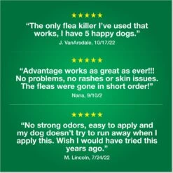 Advantage II Flea Spot Treatment For Dogs, 11-20 Lbs -Snuggle Paws 74388 PT7. AC SS1800 V1680193163