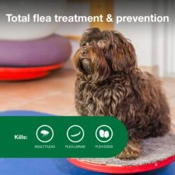 Advantage II Flea Spot Treatment For Dogs, 3-10 Lbs -Snuggle Paws 74389 PT3. AC SS1800 V1680187692