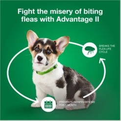 Advantage II Flea Spot Treatment For Dogs, 3-10 Lbs -Snuggle Paws 74389 PT6. AC SS1800 V1680193162